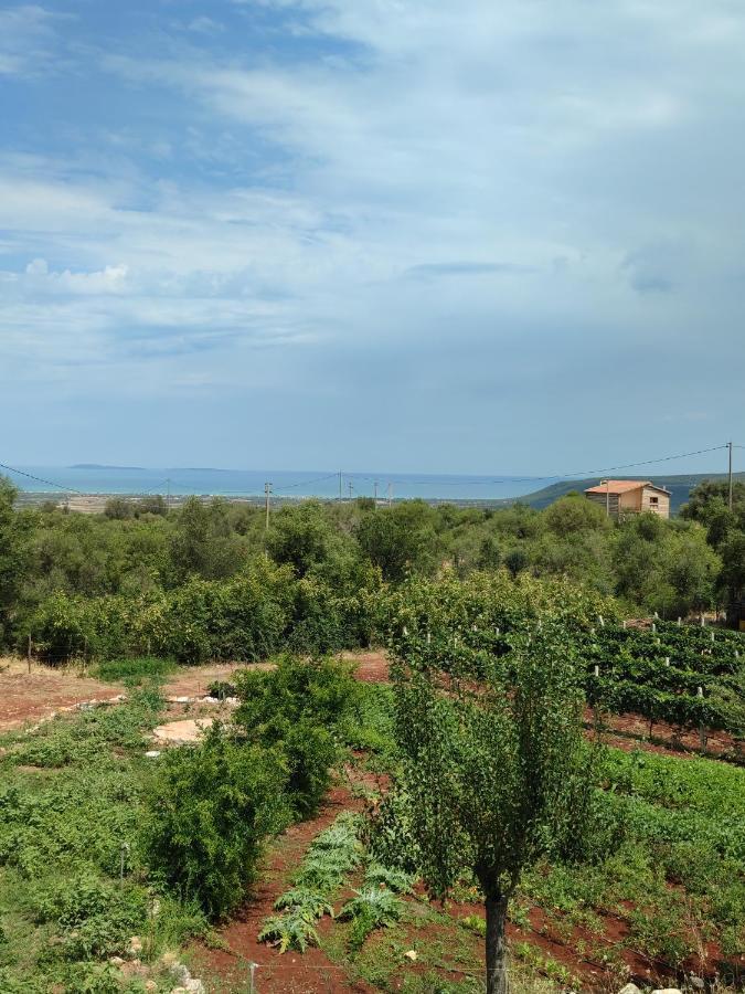 סניקנדרו גרגניקו Gio Horses B&B מראה חיצוני תמונה