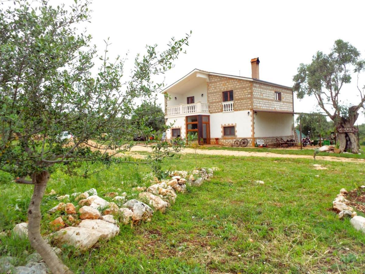 סניקנדרו גרגניקו Gio Horses B&B מראה חיצוני תמונה